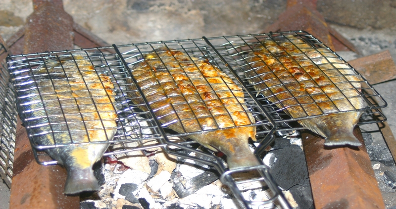 Barbecue poisson